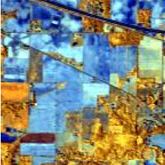 Remote Sensing Image (Hyperspectral)